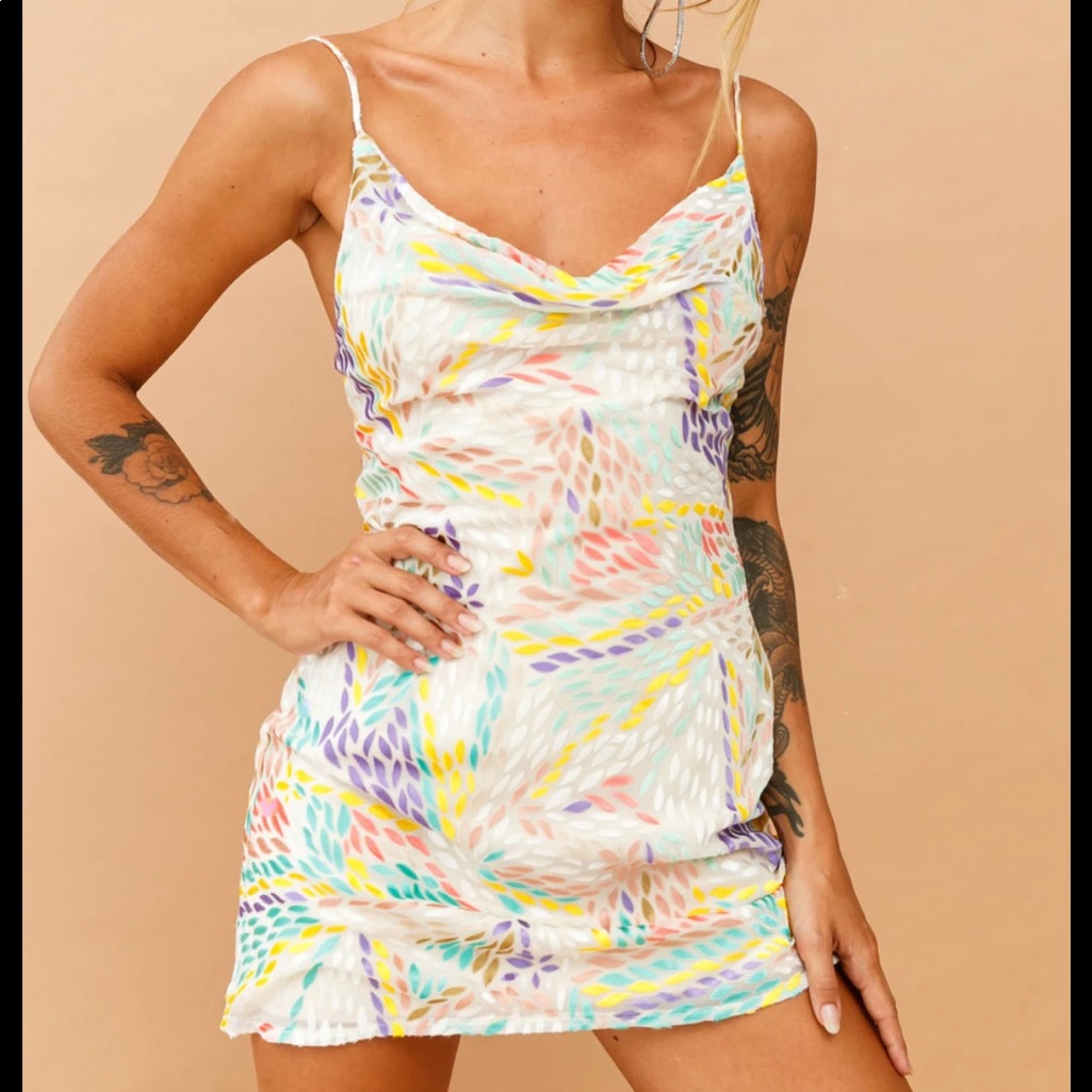 Multicolor Sage & Paige Chiffon Velvet Mini Dress